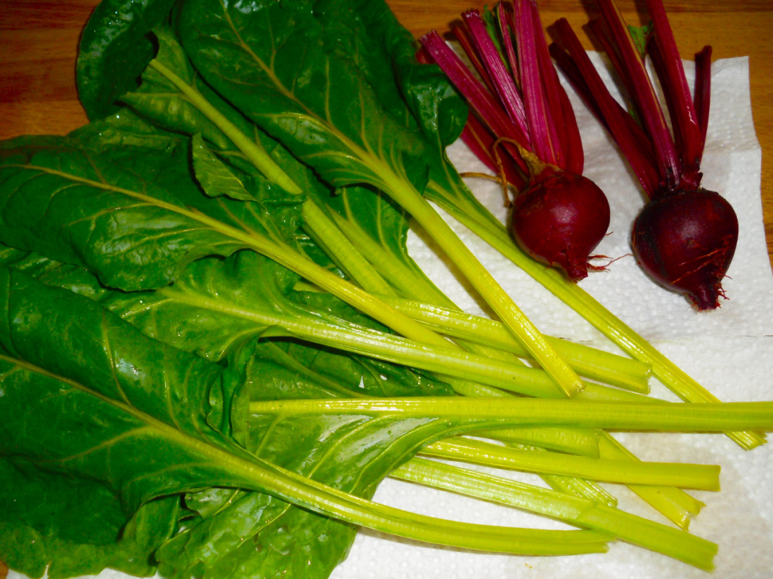 Name:  Chard and beets..jpg
Views: 253
Size:  432.9 KB