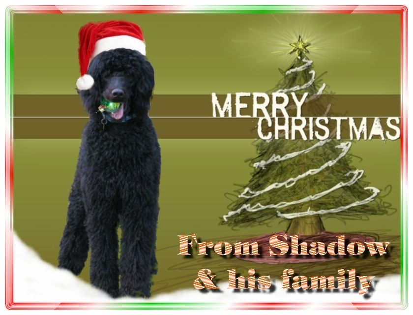 Name:  shadow-christmas-card-3.jpg
Views: 34961
Size:  291.5 KB
