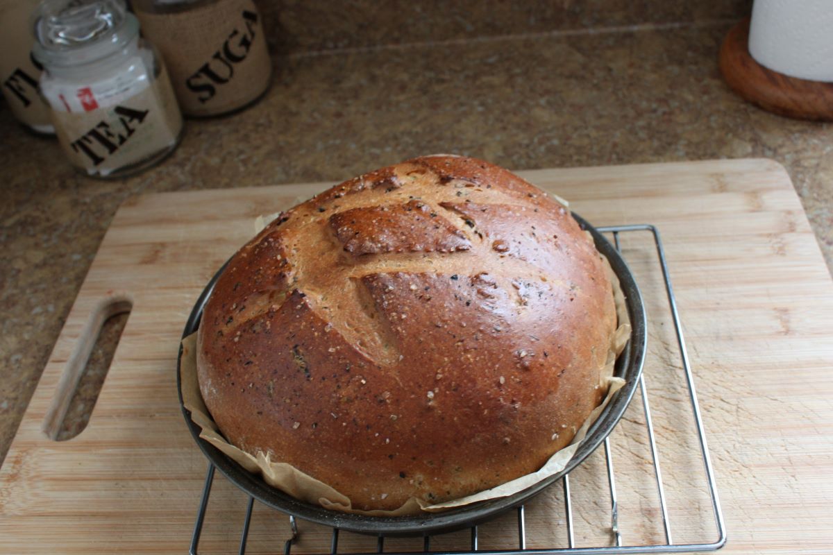 Name:  Olive bread 3.JPG
Views: 3169
Size:  130.0 KB