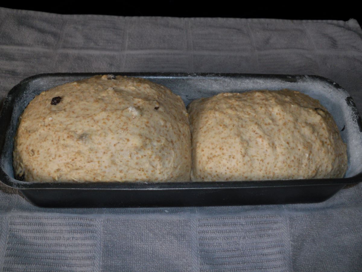 Name:  Bread.JPG
Views: 123
Size:  145.0 KB