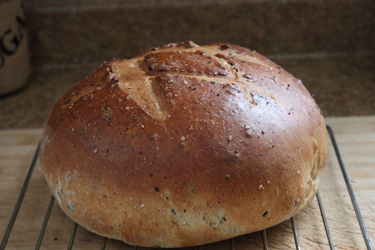 Name:  Olive bread 2.JPG
Views: 3150
Size:  118.8 KB