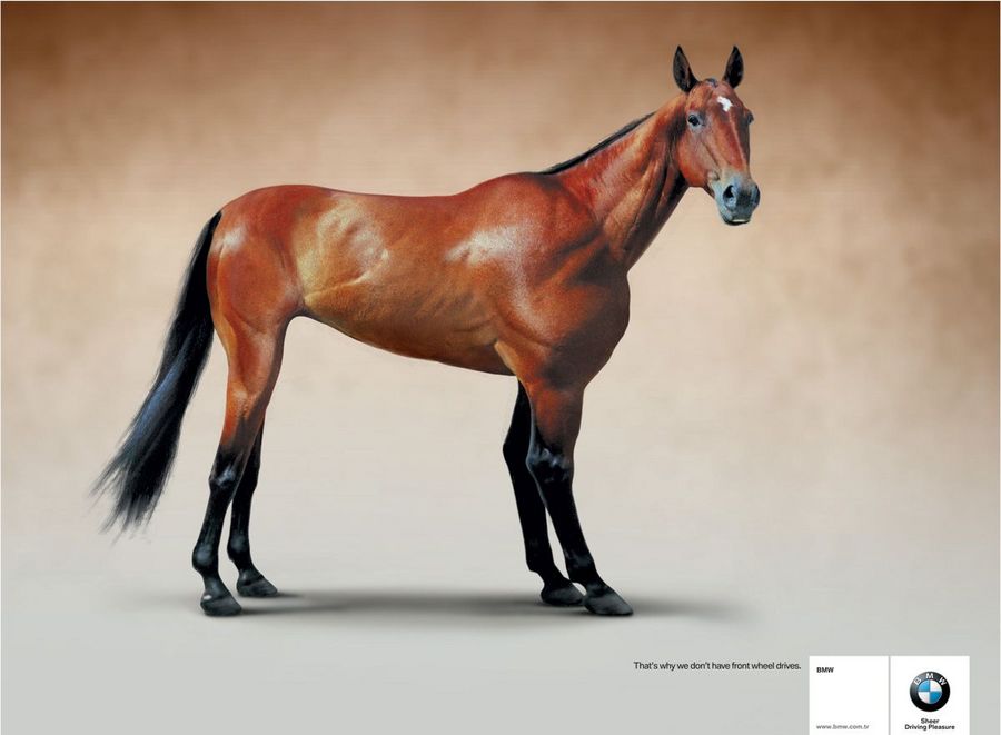Name:  horse.jpg
Views: 5054
Size:  47.7 KB