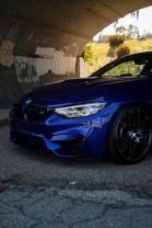 blueberry.m4's Avatar